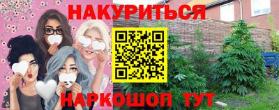 apvp Гай