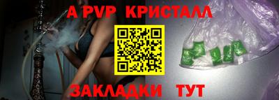 ECSTASY Гатчина