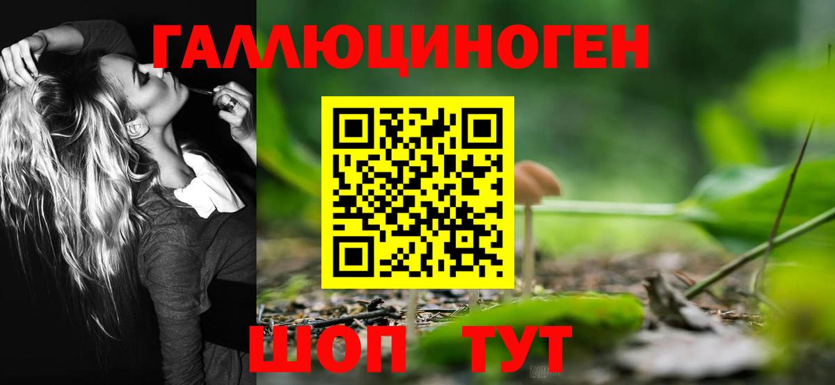 Галлюциногенные грибы ЛСД  Вход с VPN  Тутаев  Галлюциногенные грибы Magic Shrooms 