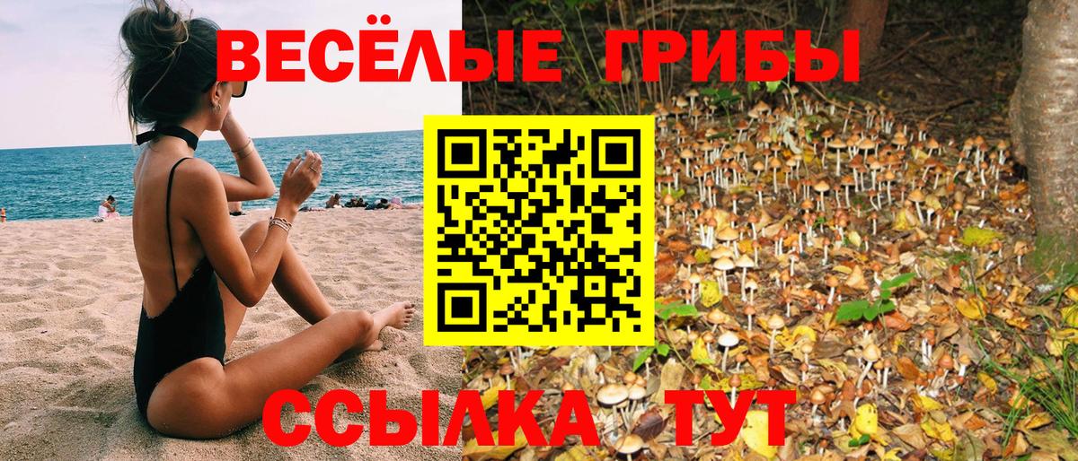 Галлюциногенные грибы Psilocybine cubensis Тутаев