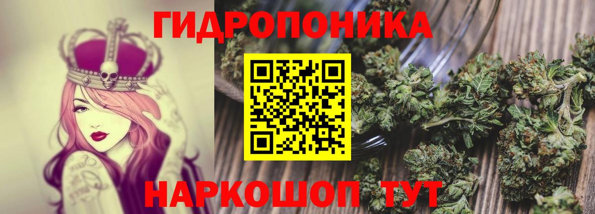 Бошки марихуана Ganja Тутаев